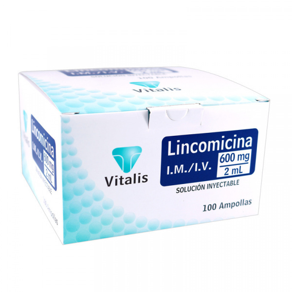   LINCOMICINA 600 mg / 2 mL - CJA x 100 AMP