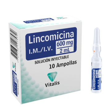  LINCOMICINA 600 mg / 2 mL - CJA x 10 AMP