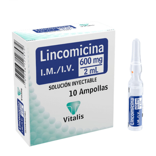  LINCOMICINA 600 mg / 2 mL - CJA x 10 AMP